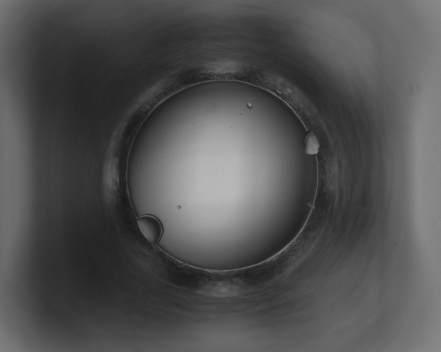 X0000101100731200806261512
