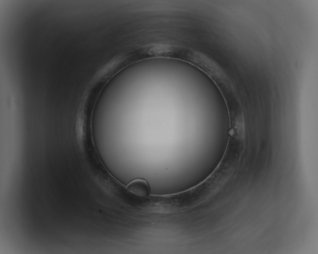X0000101100732200806261512