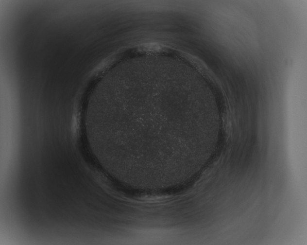 X0000101100735200806261512