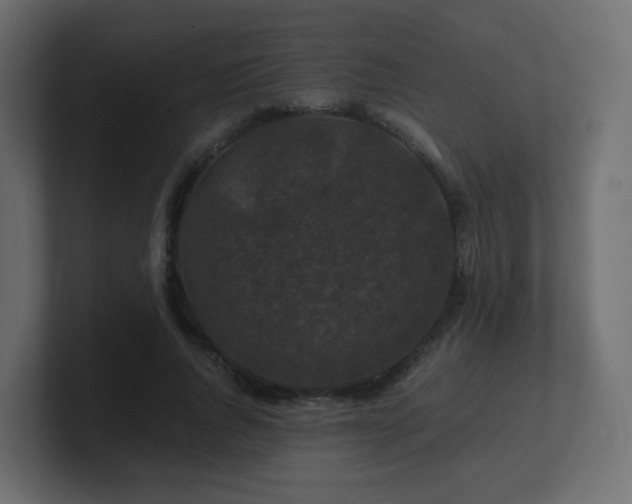 X0000101100736200806261512