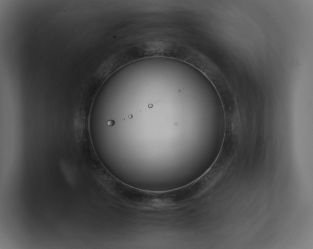X0000101100737200806261512