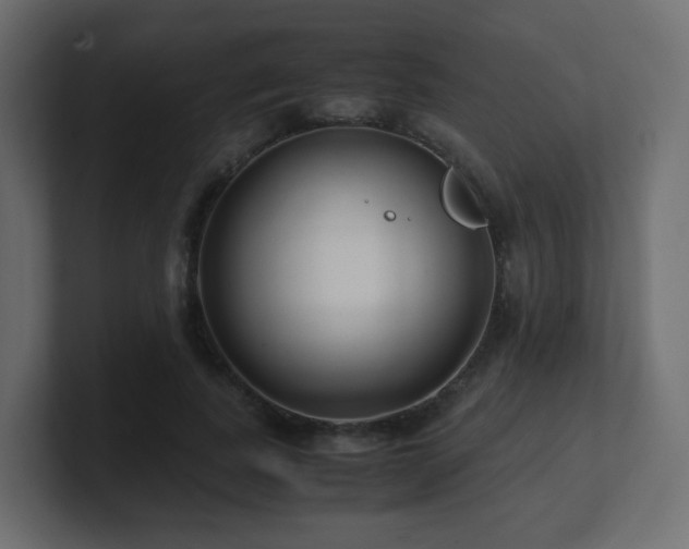 X0000101100739200806261512