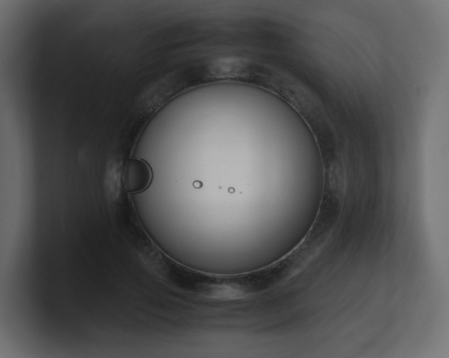 X0000101100741200806261512