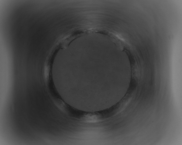 X0000101100742200806261512