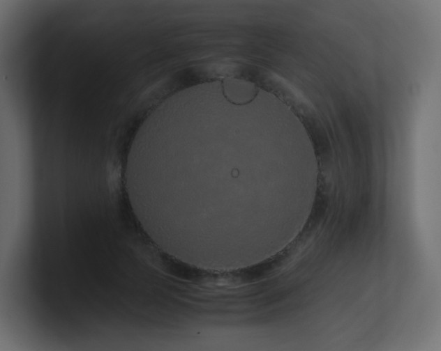 X0000101100745200806261512