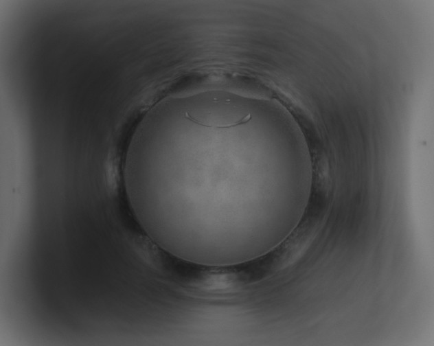 X0000101100746200806261512