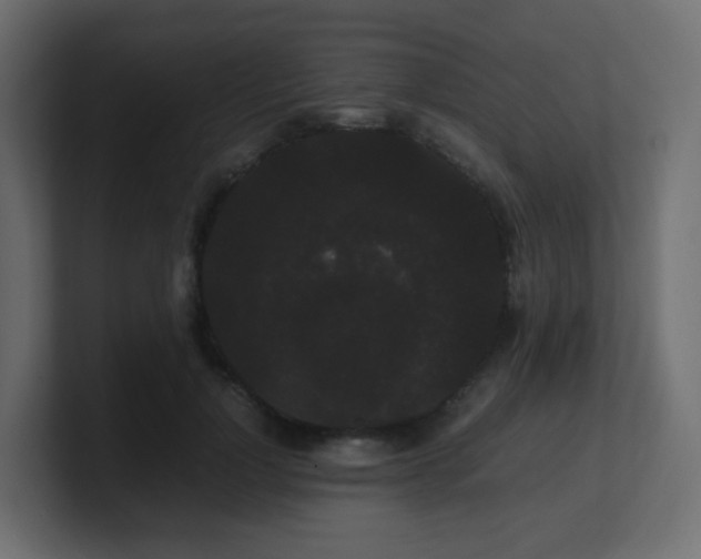 X0000101100748200806261512