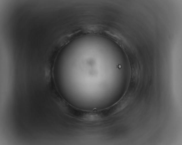 X0000101100749200806261512