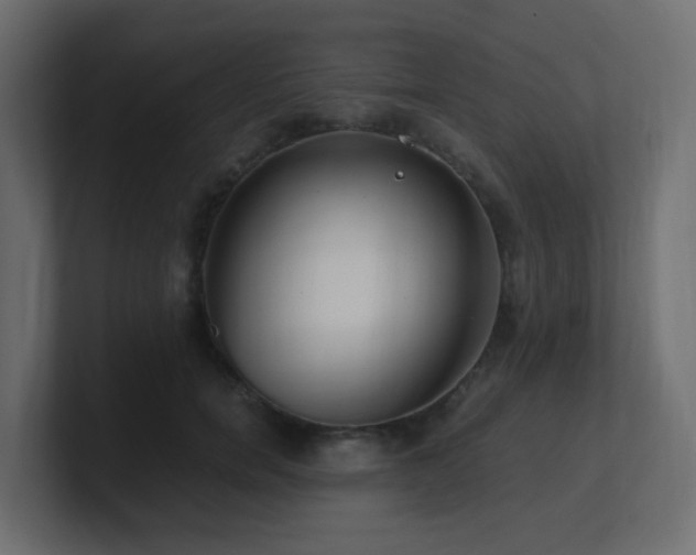 X0000101100750200806261512