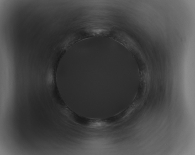 X0000101100754200806261512