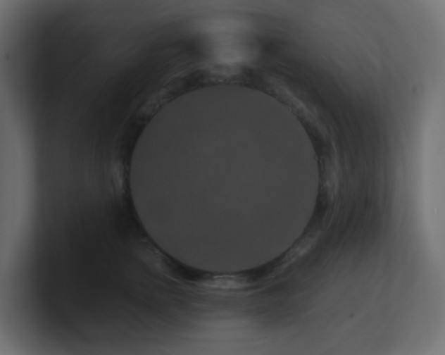 X0000101100758200806261512