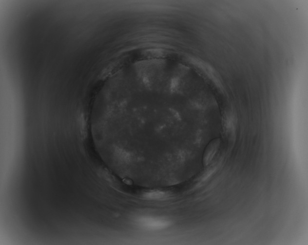 X0000101100759200806261512