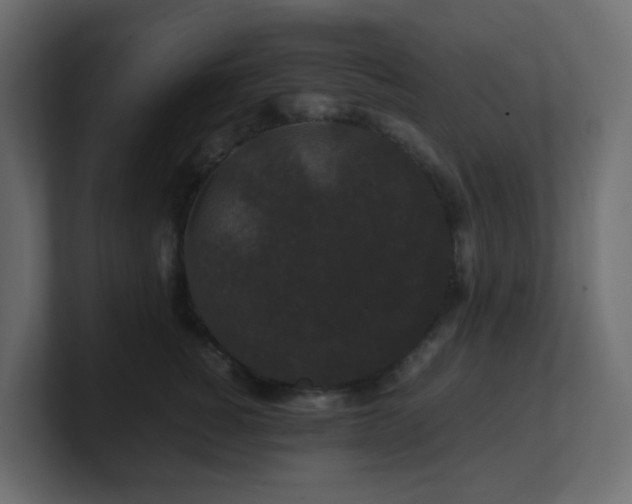 X0000101100760200806261512