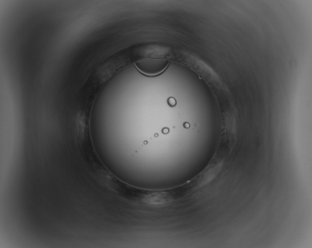 X0000101100761200806261512
