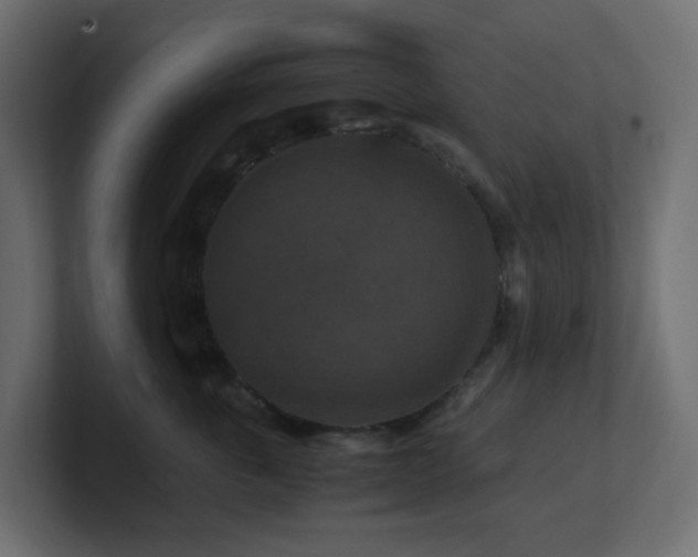 X0000101100763200806261512