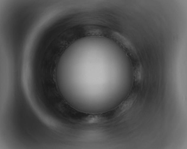 X0000101100764200806261512
