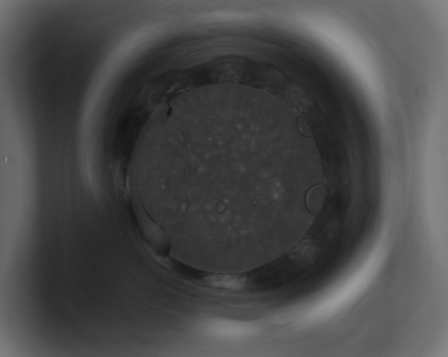 X0000101100766200806261512