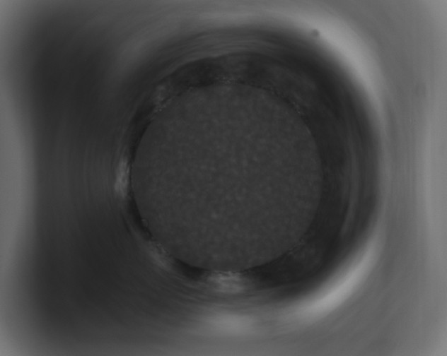 X0000101100767200806261512