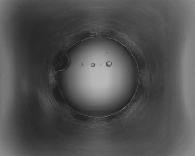 X0000101100770200806261511