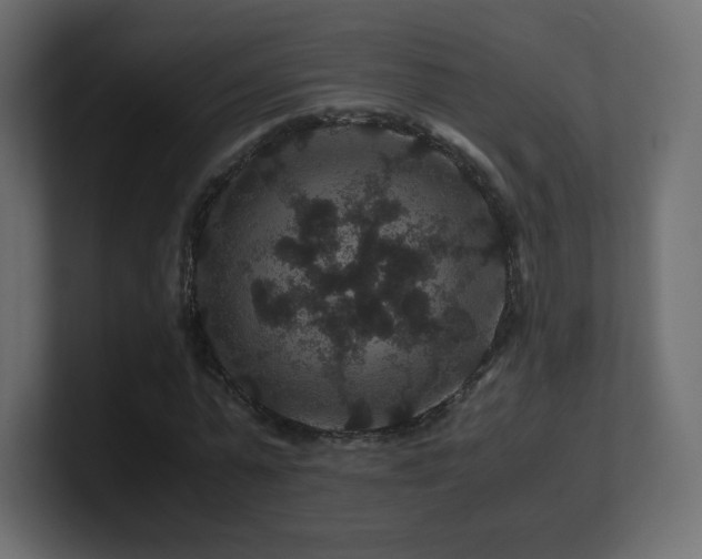X0000101100775200806261511