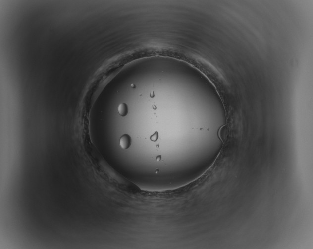 X0000101100776200806261511