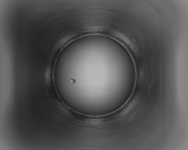 X0000101100778200806261511