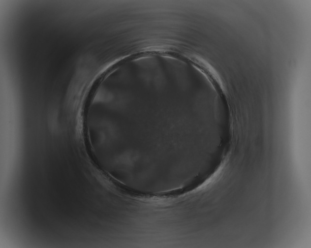 X0000101100779200806261511