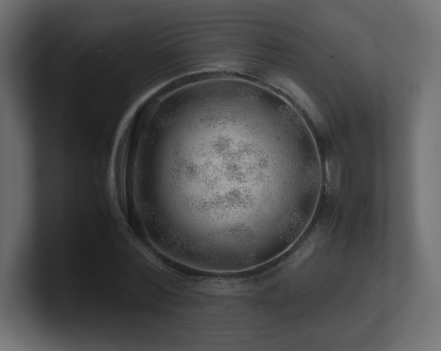 X0000101100780200806261511