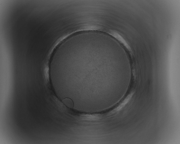 X0000101100781200806261511