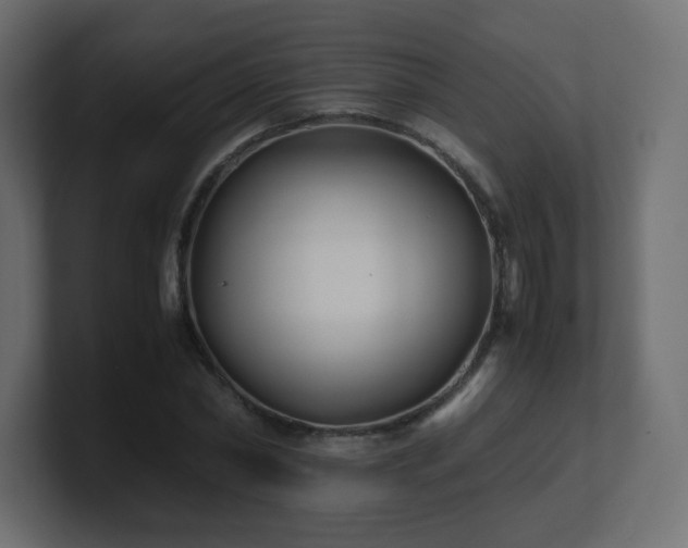 X0000101100782200806261511