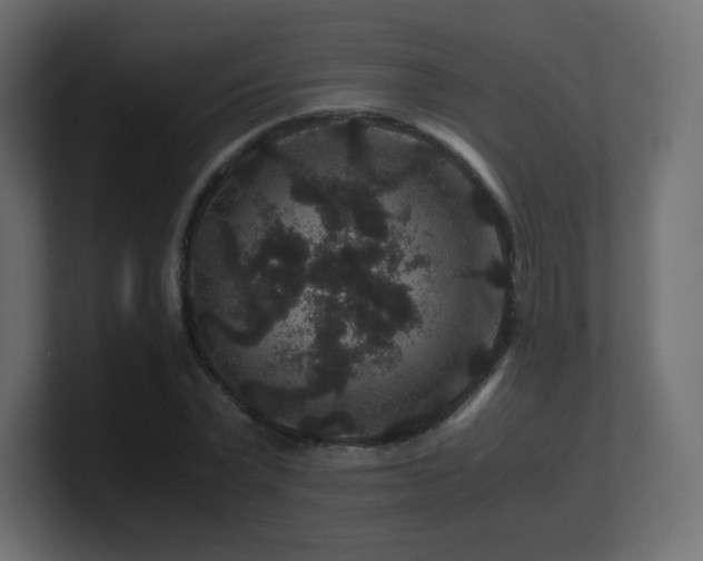 X0000101100783200806261511