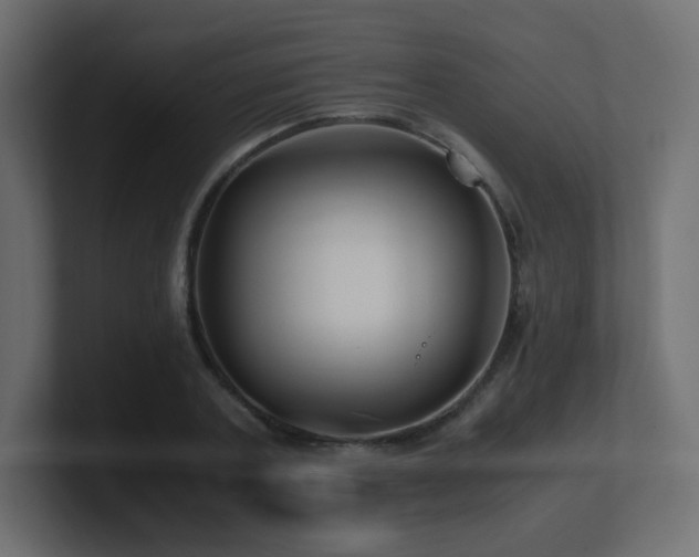 X0000101100787200806261511