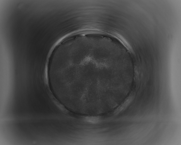 X0000101100788200806261511