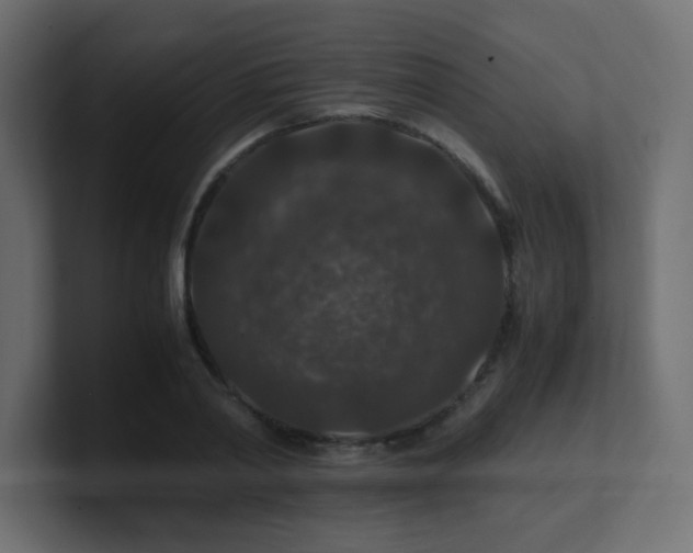 X0000101100790200806261511