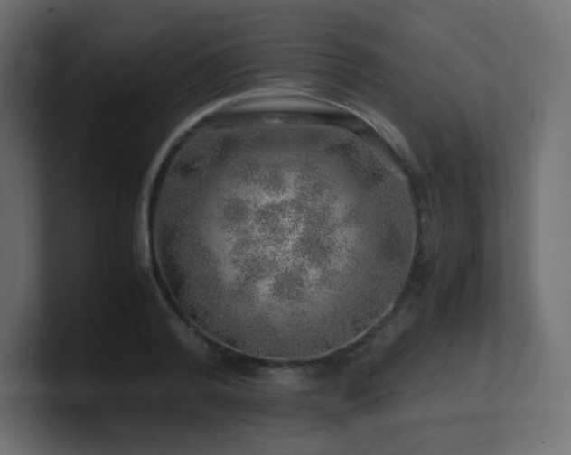 X0000101100792200806261511