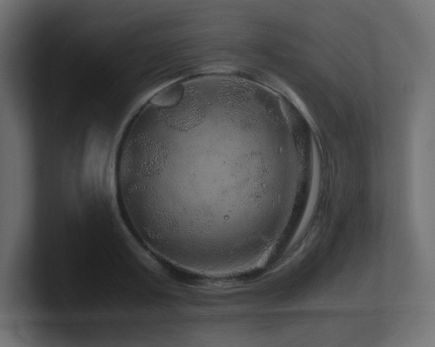 X0000101100795200806261511