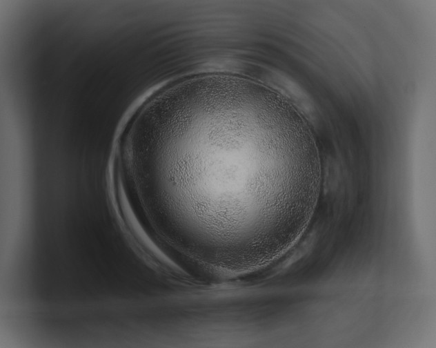 X0000101100796200806261511