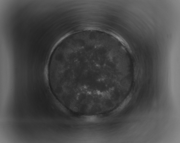 X0000101100798200806261511