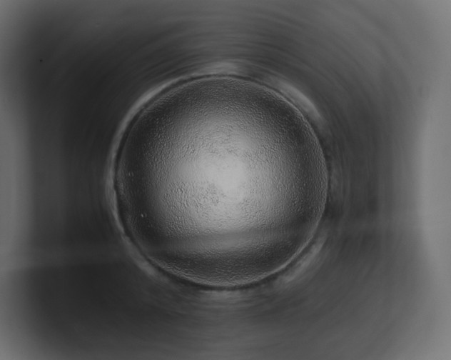 X0000101100800200806261511
