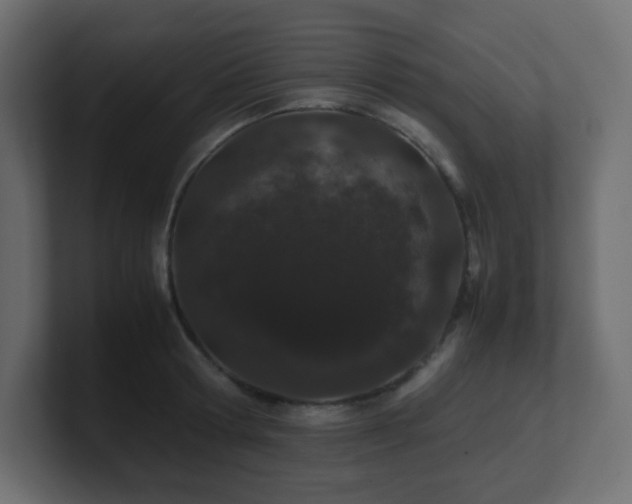 X0000101100802200806261511