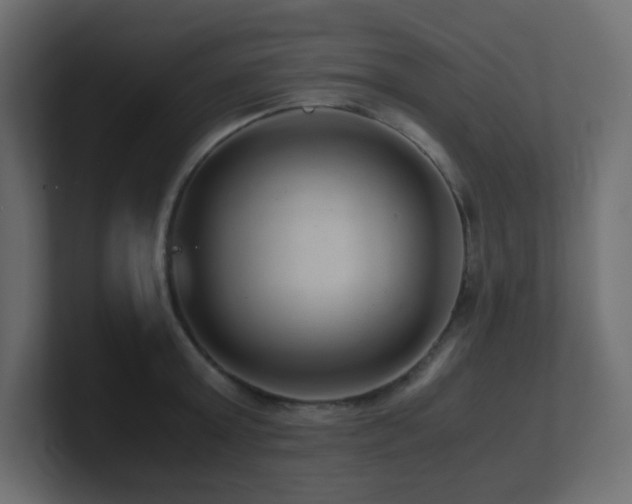 X0000101100803200806261511
