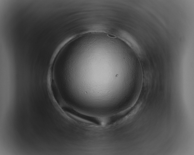 X0000101100804200806261511