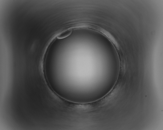 X0000101100805200806261511