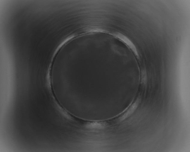 X0000101100806200806261511