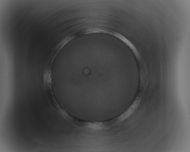 X0000101100809200806261511