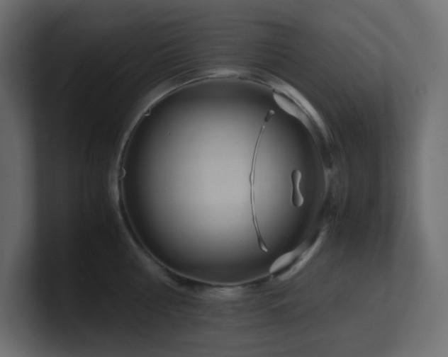 X0000101100810200806261511