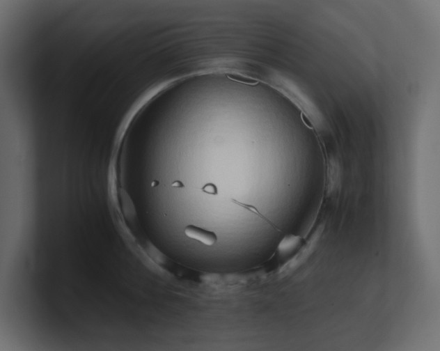 X0000101100812200806261511