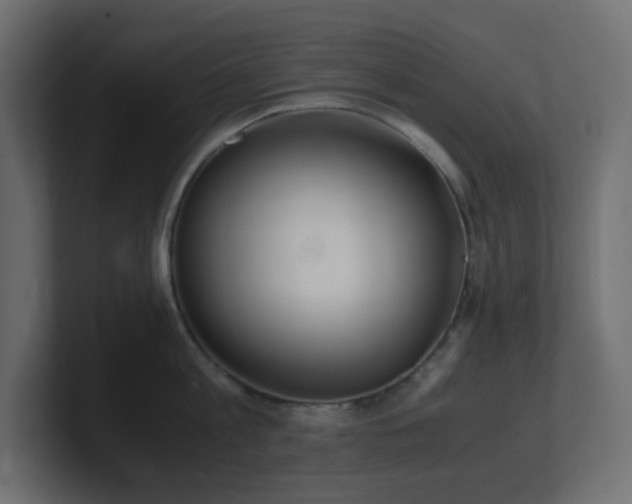 X0000101100813200806261511