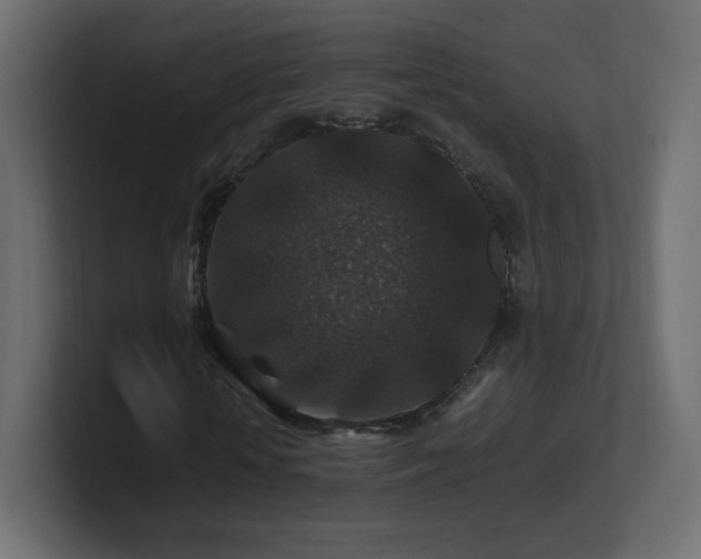 X0000101100818200806261510