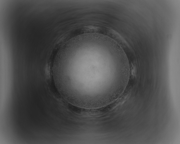 X0000101100819200806261510